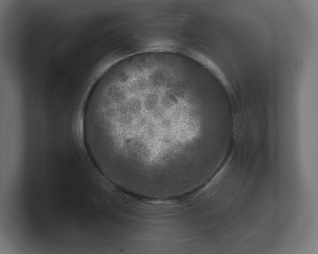 X0000101701419200807171505