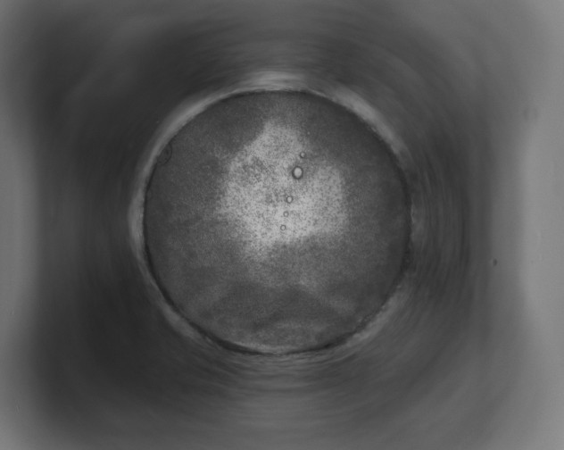 X0000101701421200807171505