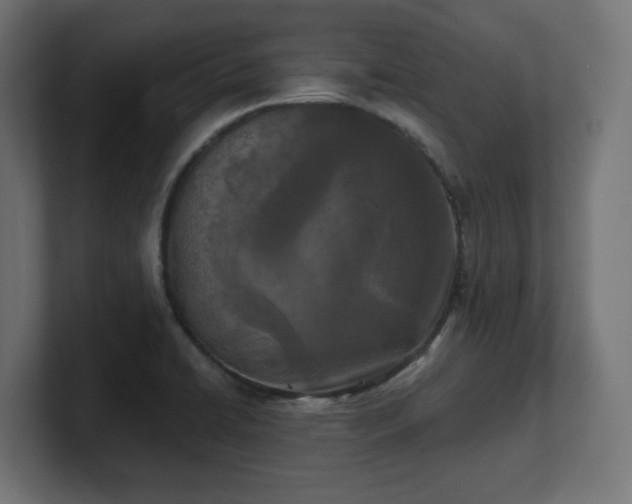 X0000101701422200807171505