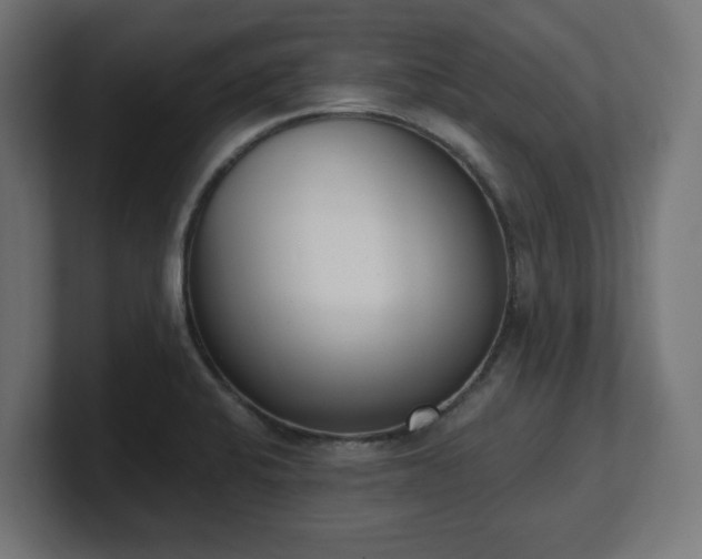 X0000101701424200807171505