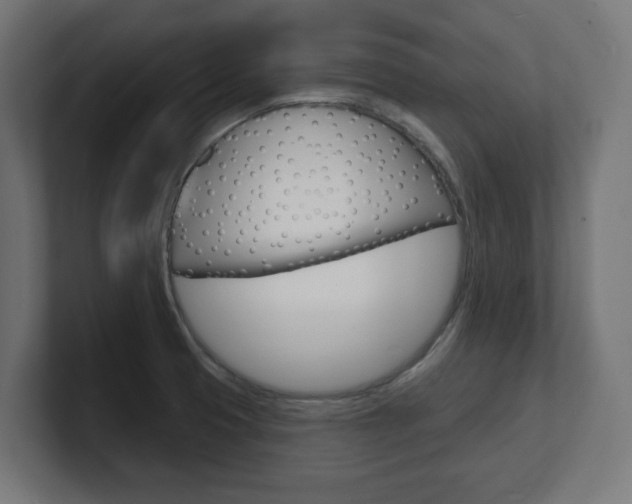 X0000101701425200807171505