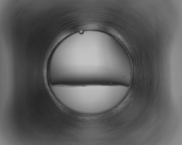 X0000101701426200807171505