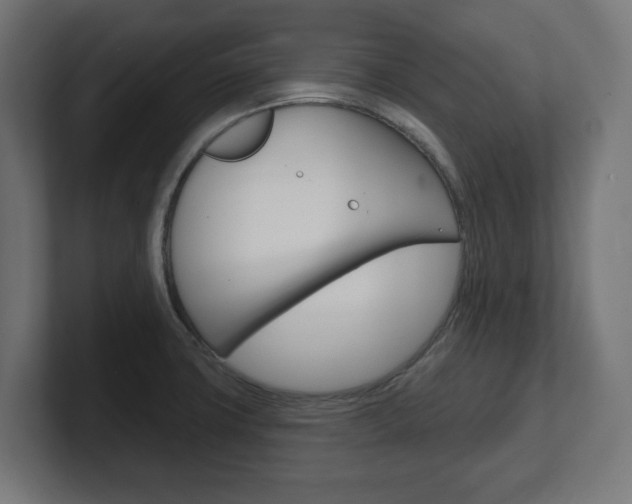 X0000101701427200807171505