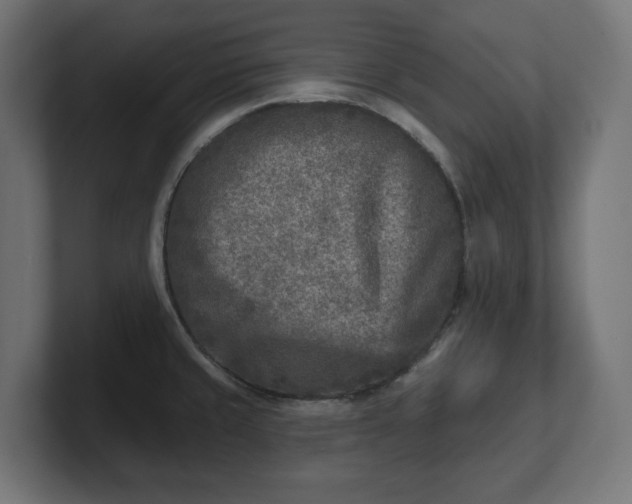 X0000101701429200807171505