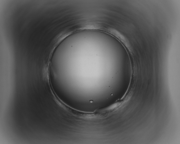 X0000101701433200807171505