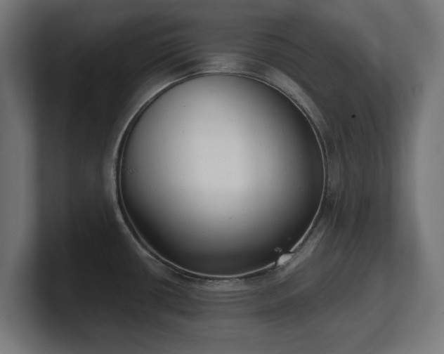 X0000101701434200807171505