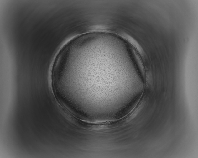 X0000101701435200807171505