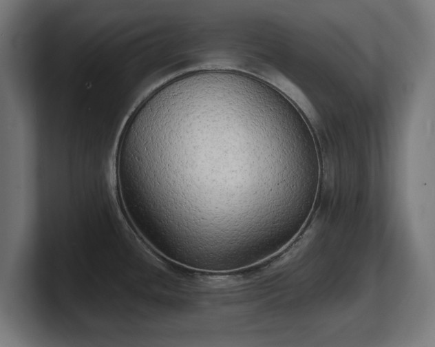 X0000101701436200807171505