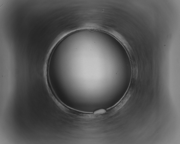 X0000101701438200807171505