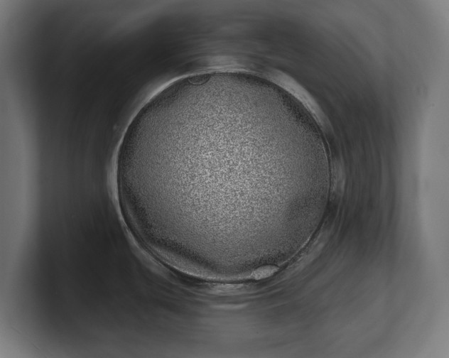 X0000101701439200807171505