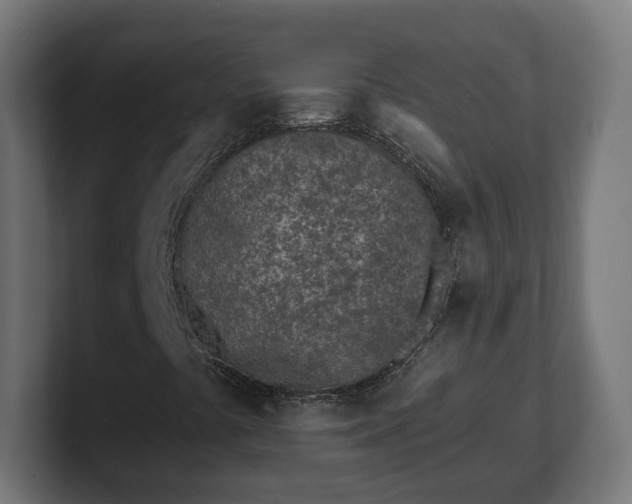 X0000101701441200807171505