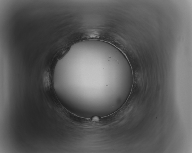 X0000101701442200807171505