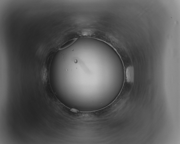 X0000101701443200807171505