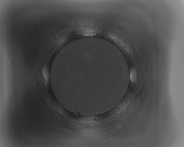 X0000101701444200807171505