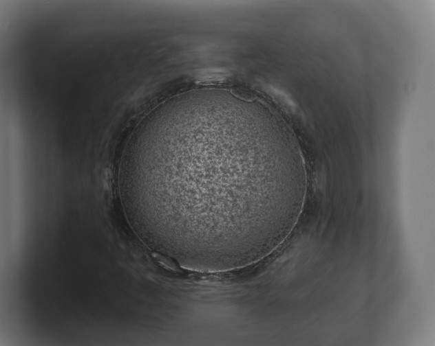 X0000101701445200807171505