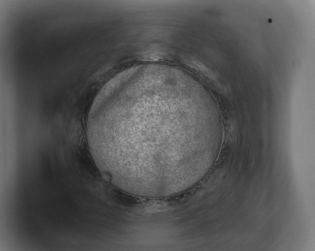 X0000101701446200807171504