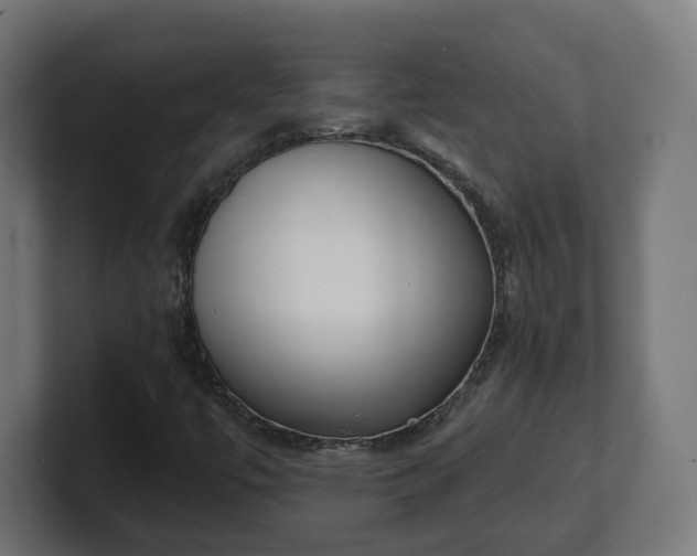 X0000101701447200807171504