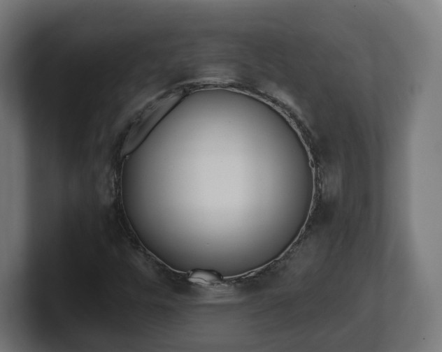 X0000101701448200807171504