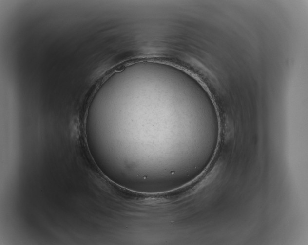 X0000101701449200807171504