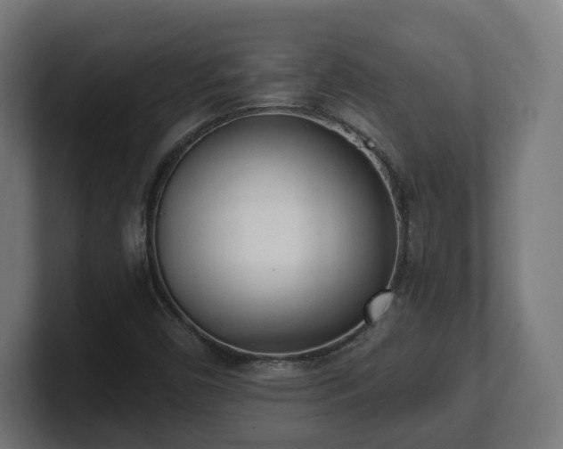 X0000101701450200807171504