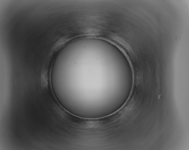 X0000101701451200807171504