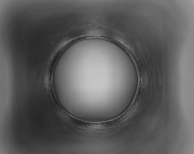 X0000101701454200807171504