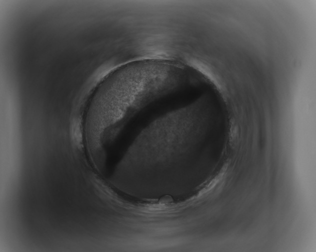 X0000101701455200807171504