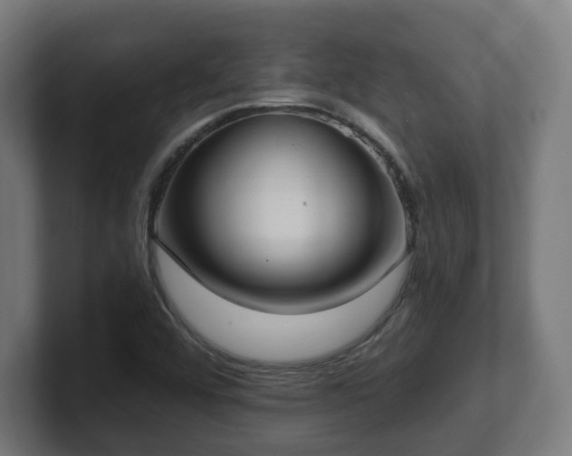 X0000101701456200807171504