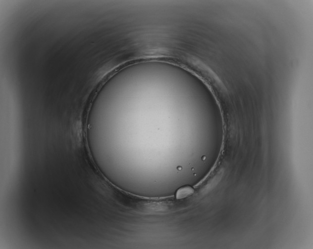 X0000101701457200807171504