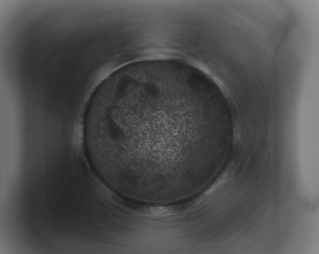 X0000101701459200807171504