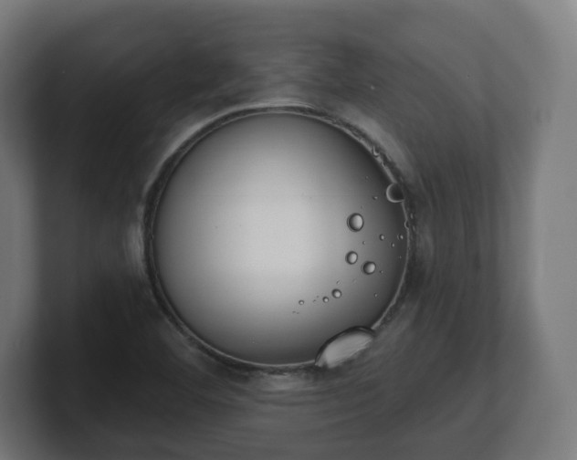 X0000101701460200807171504