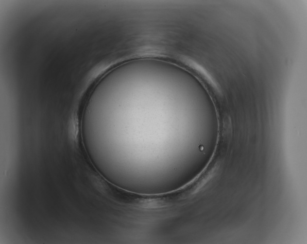 X0000101701461200807171504