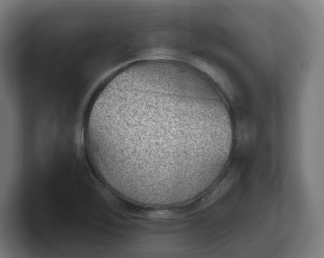 X0000101701462200807171504