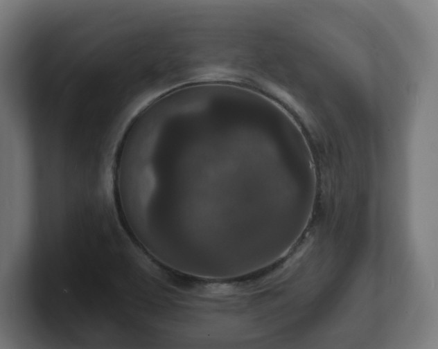 X0000101701463200807171504