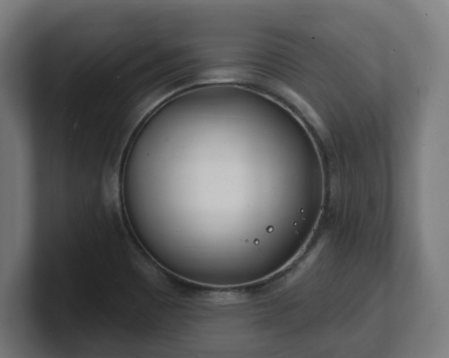 X0000101701465200807171504