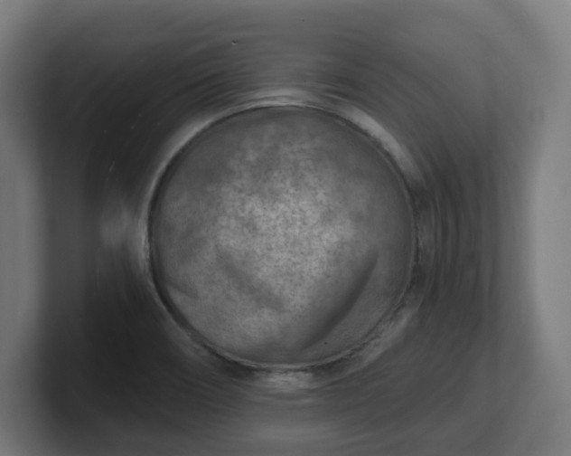 X0000101701466200807171504