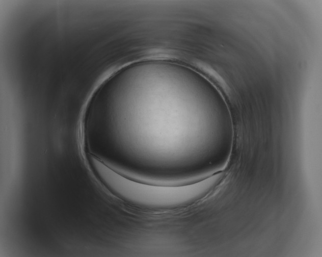 X0000101701467200807171504