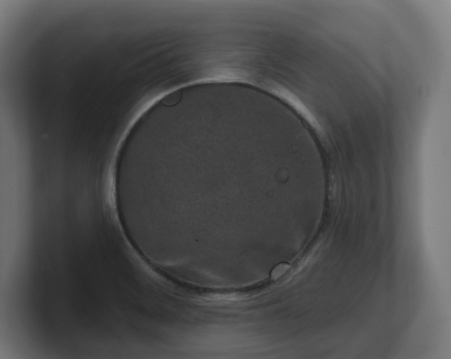 X0000101701468200807171504