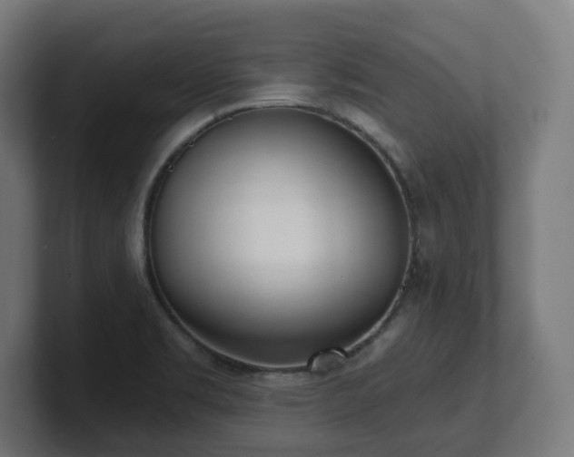 X0000101701469200807171504