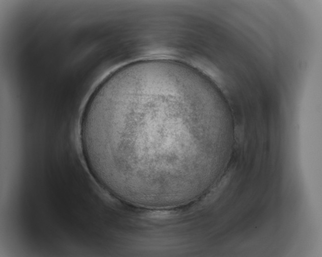 X0000101701470200807171504