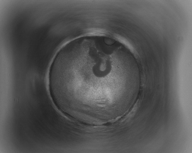 X0000101701471200807171504