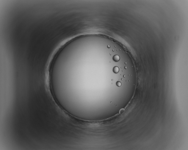 X0000101701472200807171504