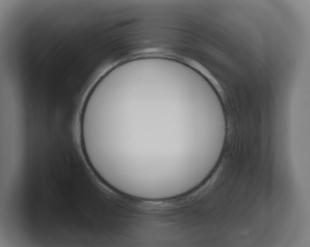 X0000101701474200807171504