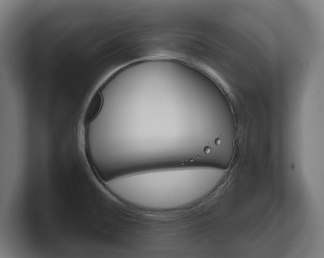 X0000101701476200807171504