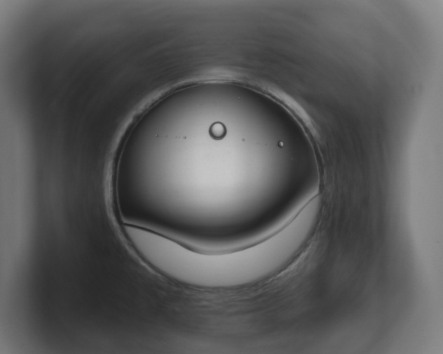 X0000101701477200807171504