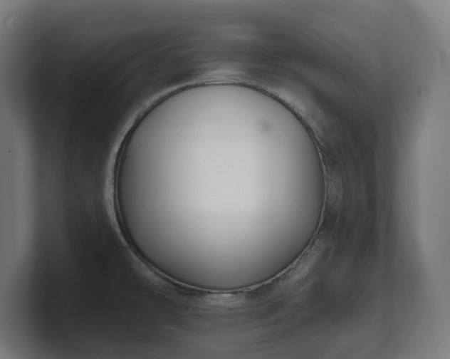 X0000101701478200807171504