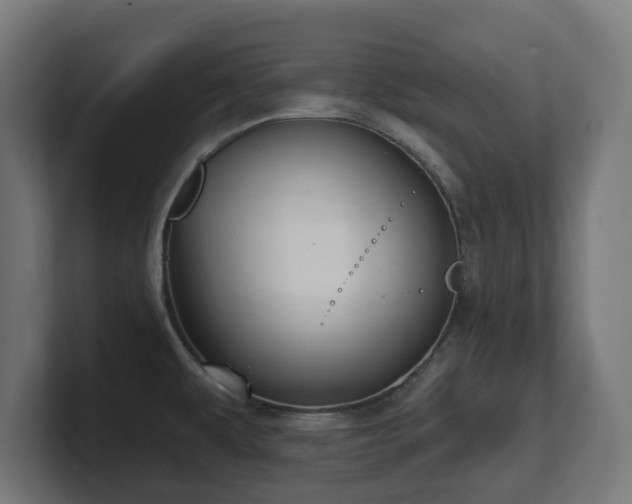 X0000101701479200807171504