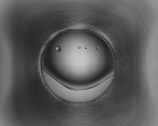 X0000101701480200807171504