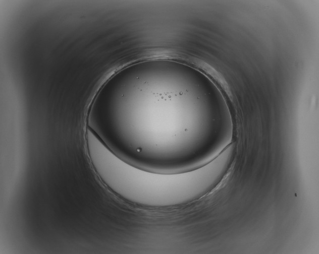 X0000101701481200807171504