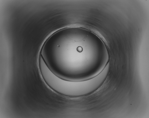 X0000101701484200807171504